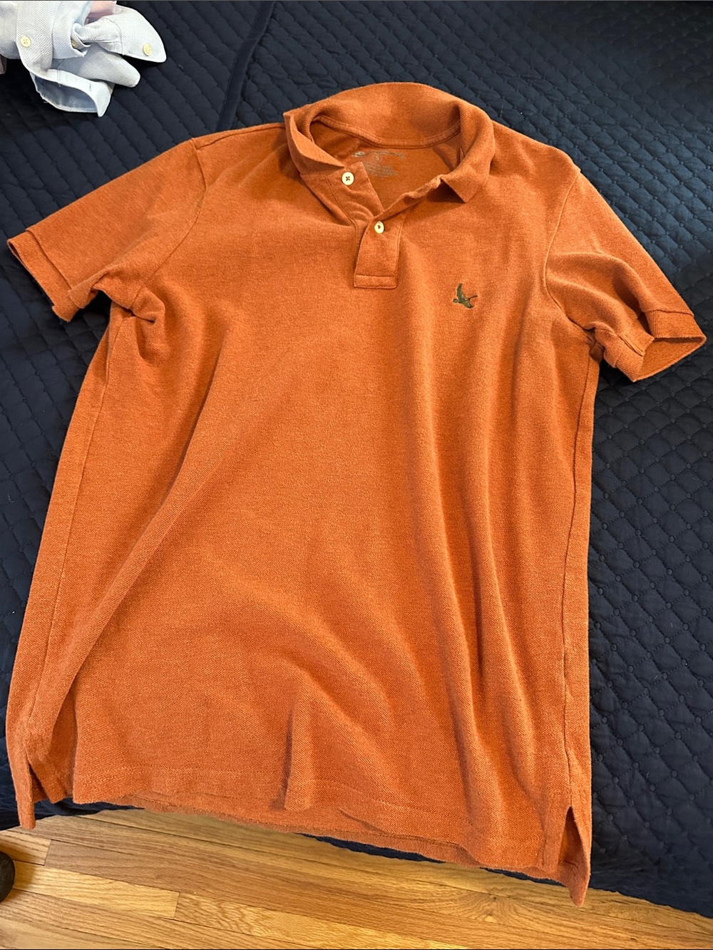 Eddie Bauer Men's Polo Shirt in Burnt Orange